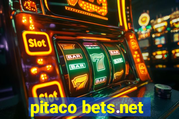 pitaco bets.net